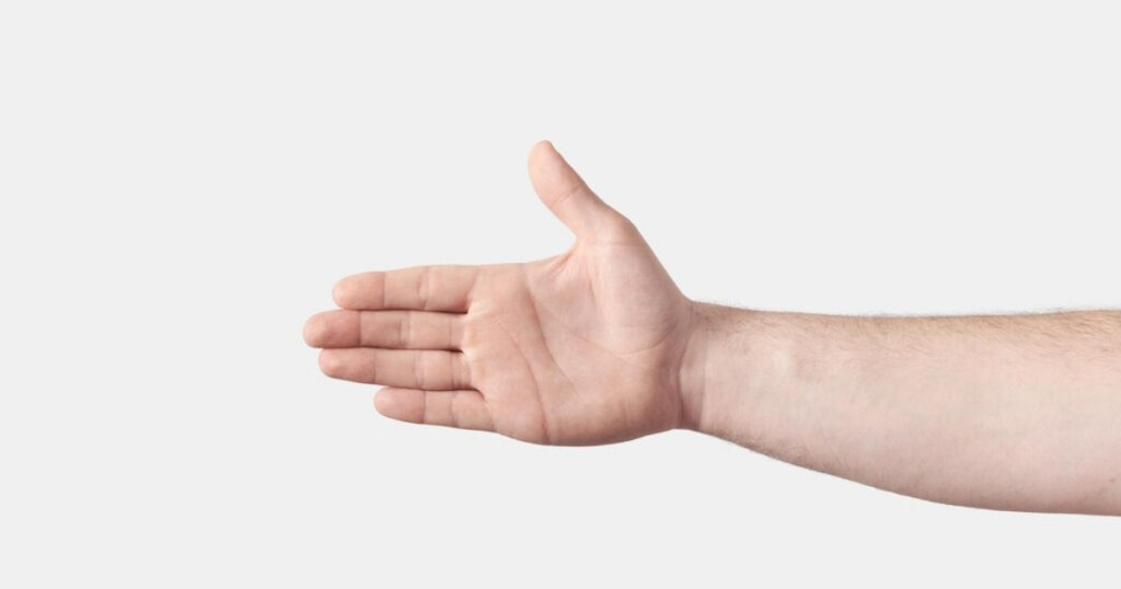 11 Common Things That Are 8 Inches Long