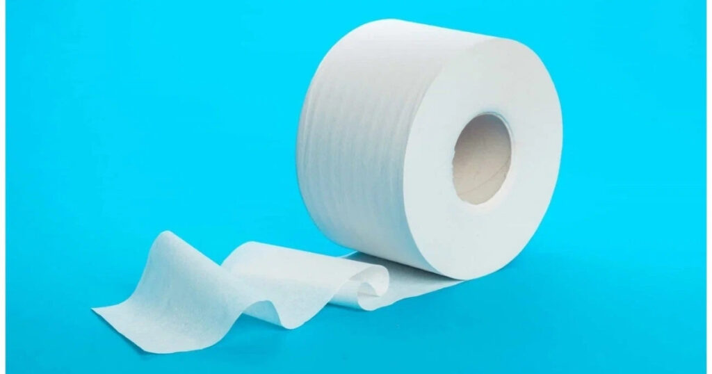 11 Common Things That Are 8 Inches Long