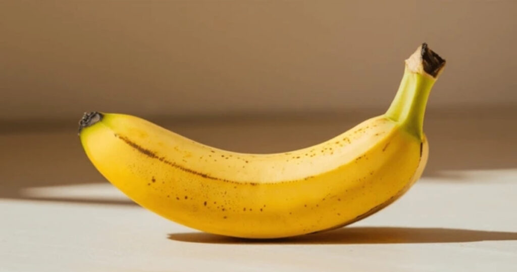 11 Common Things That Are 8 Inches Long
