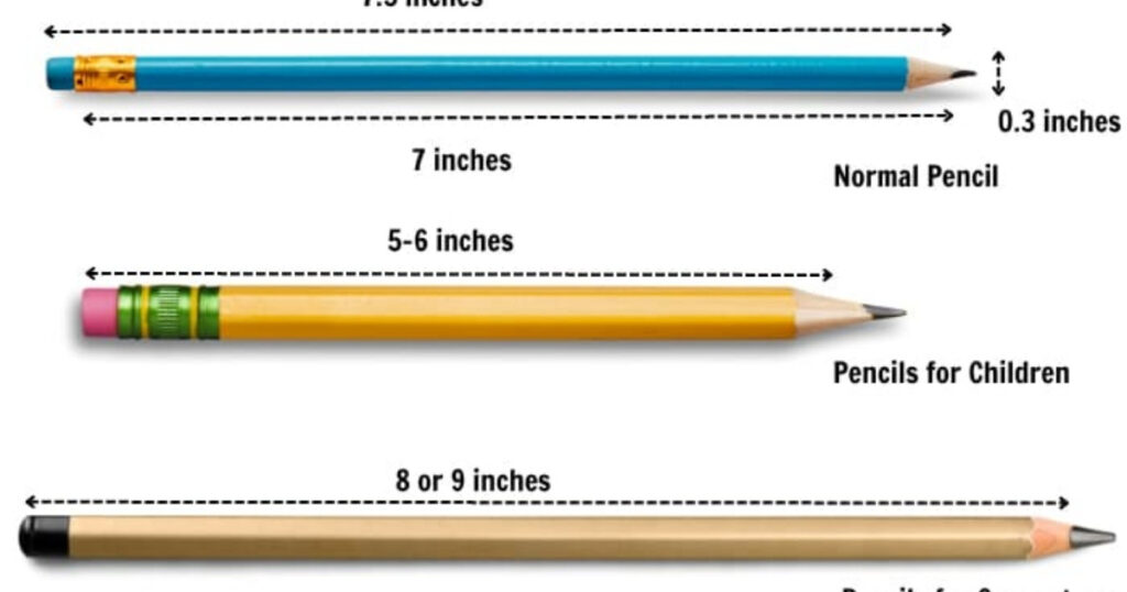 11 Common Things That Are 8 Inches Long