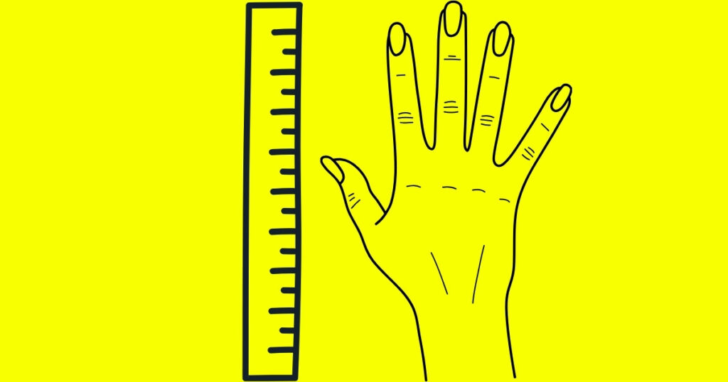 13 Common Things That Are 6 Inches Long