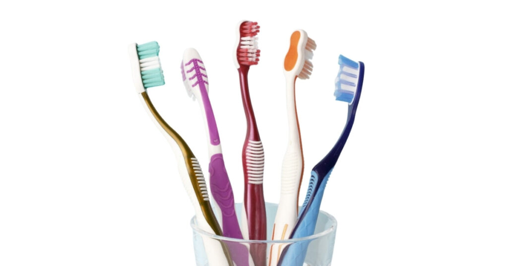13 Common Things That Are 6 Inches Long