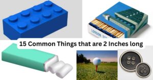 15 Common Things that are 2 Inches long