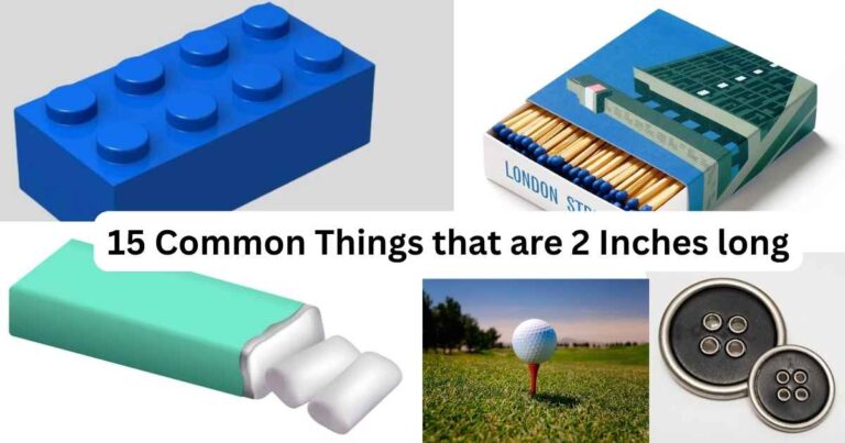 15 Common Things that are 2 Inches long