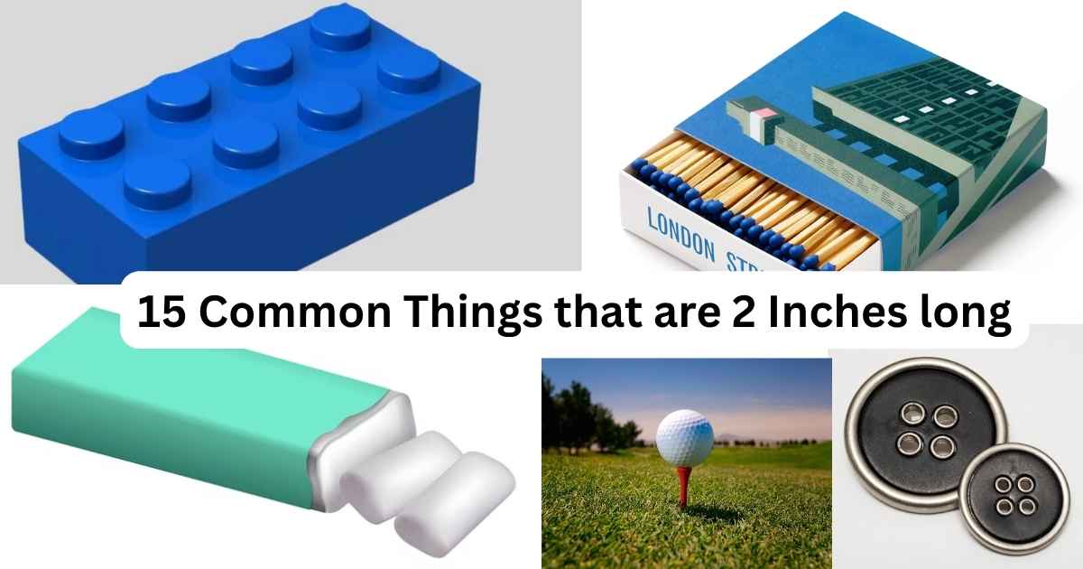 15 Common Things that are 2 Inches long