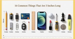 16 Common Things That Are 3 Inches Long