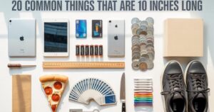 20 Common Things That Are 10 Inches Long