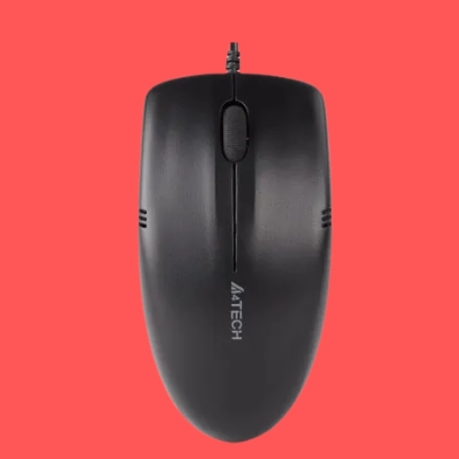 Computer Mouse