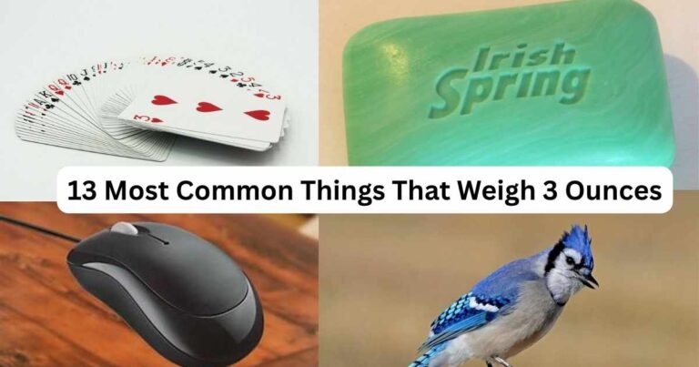 How Much Is 3 Ounces? 13 Most Common Things That Weigh 3 Ounces