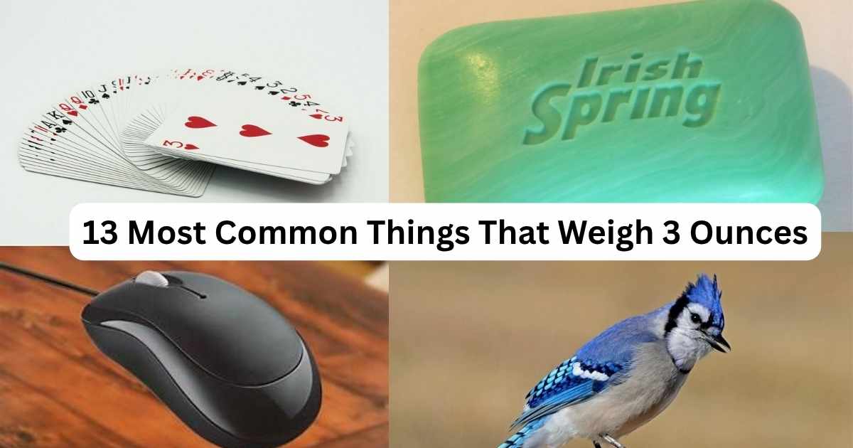 How Much Is 3 Ounces? 13 Most Common Things That Weigh 3 Ounces