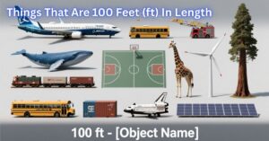 Things That Are 100 Feet (ft) In Length