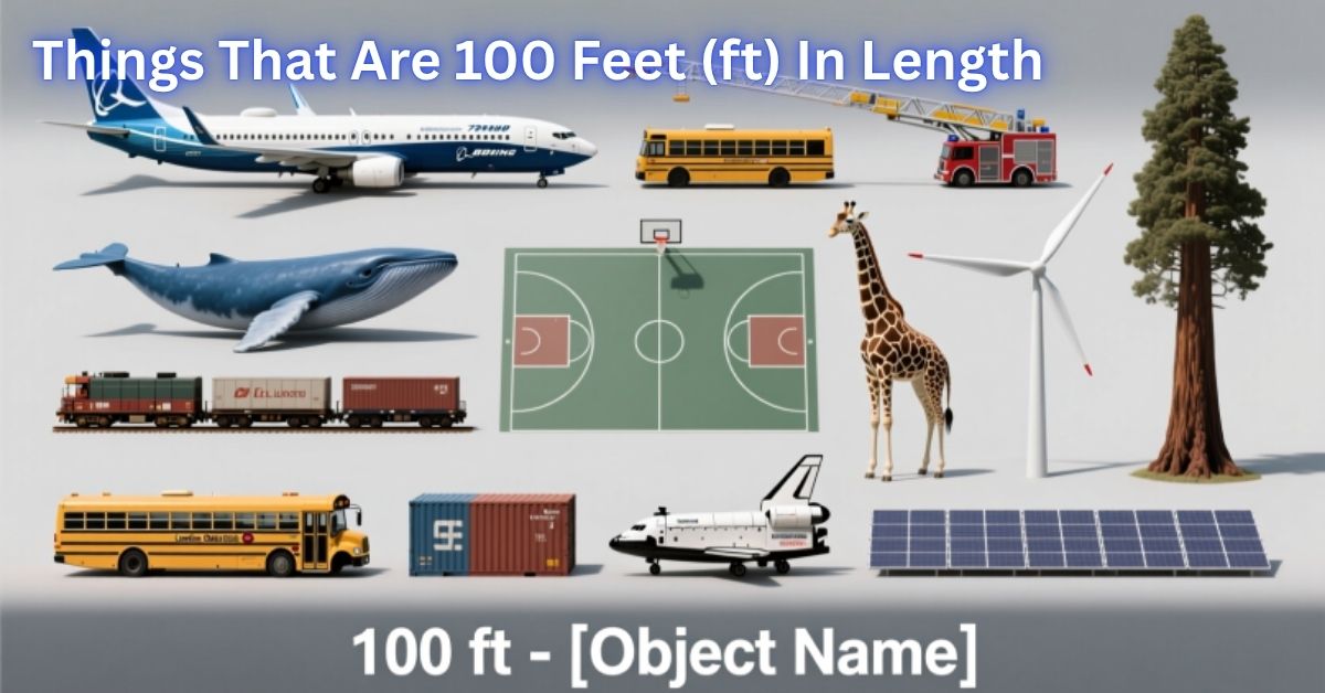 Things That Are 100 Feet (ft) In Length