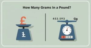 How Many Grams Are In A Pound + Conversion Chart