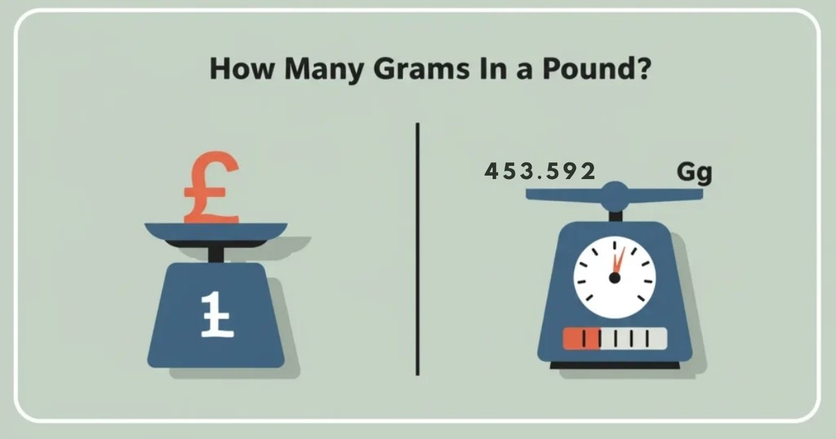 How Many Grams Are In A Pound + Conversion Chart