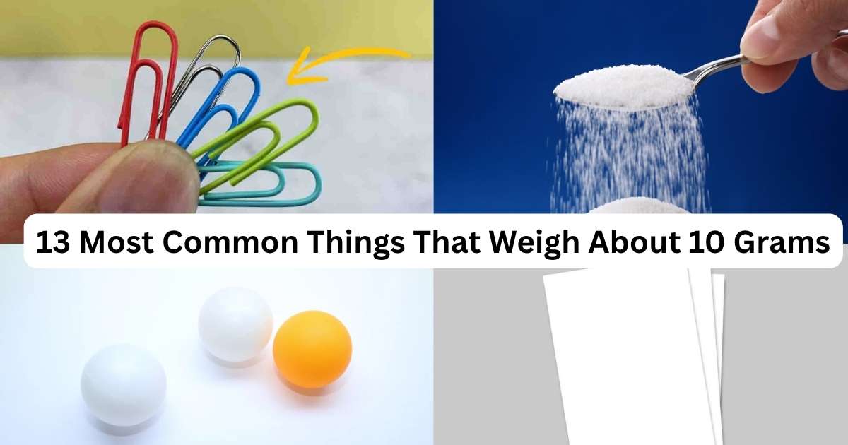 How Much Is 10 Grams? 13 Most Common Things That Weigh About 10 Grams