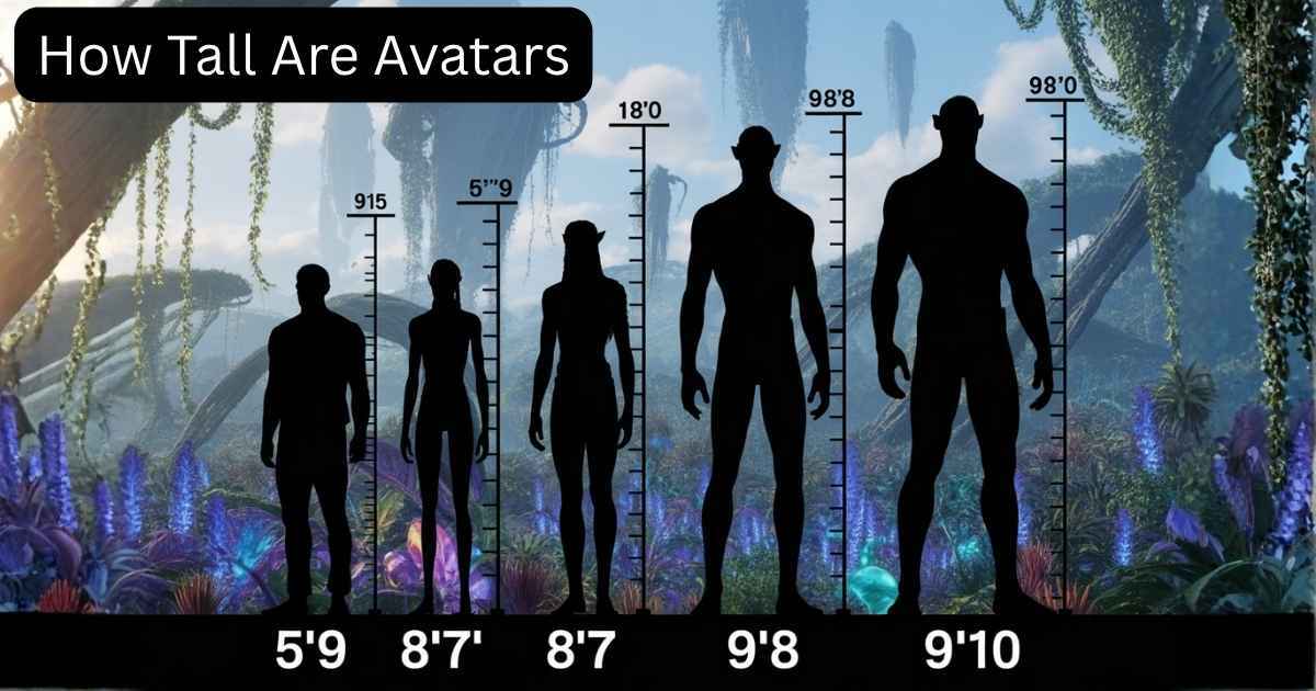 How Tall Are Avatars