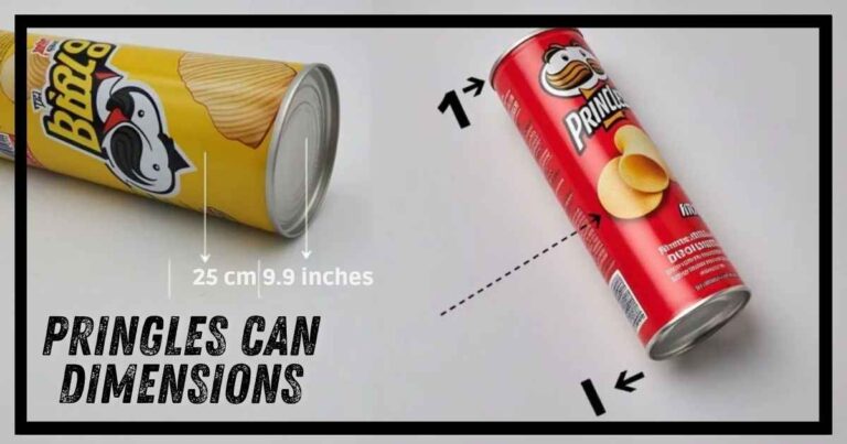 Pringles Can Dimensions