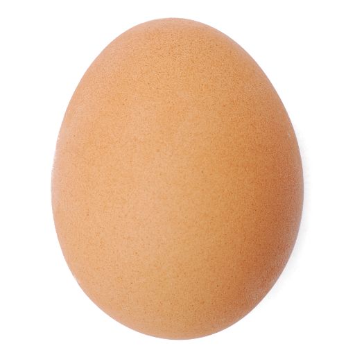 One Large Egg