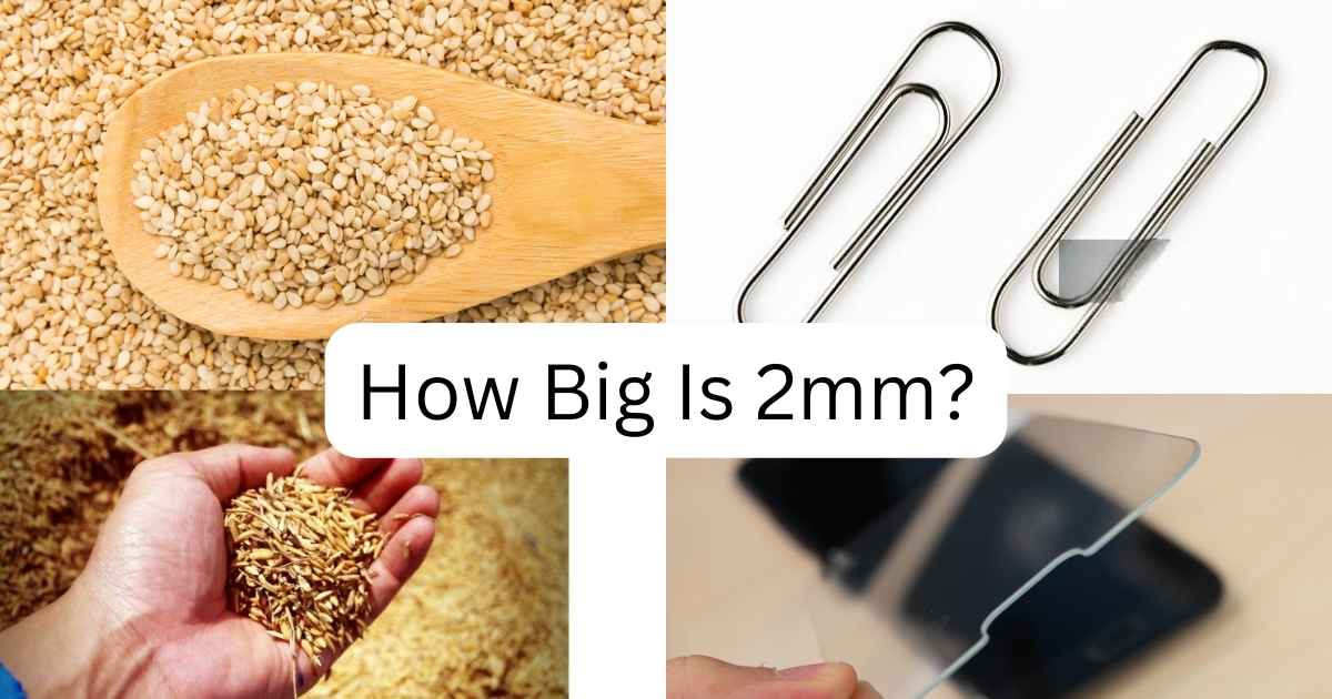 How Big Is 2mm?
