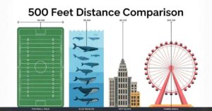 How Long Is 500 Feet? 10 Common Things