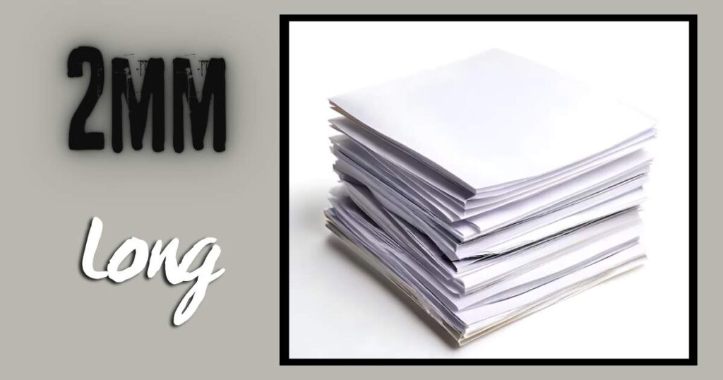 The Thickness of a Stack of 20 Sheets of Printer Paper